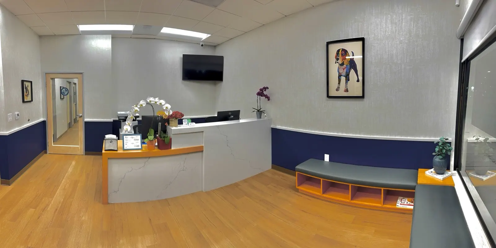 The reception and waiting area at Animal Republic Veterinary Hospital
