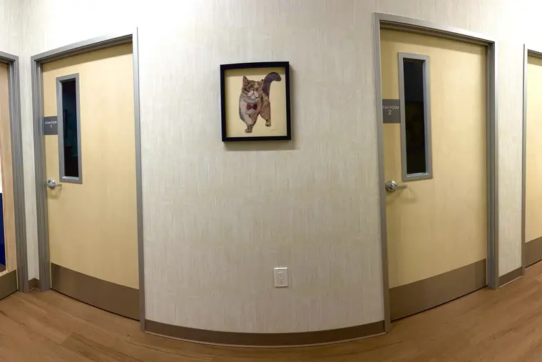 Exam room corridor inside Animal Republic Veterinary Hospital, with doors signed Exam Room 1 and Exam Room 2