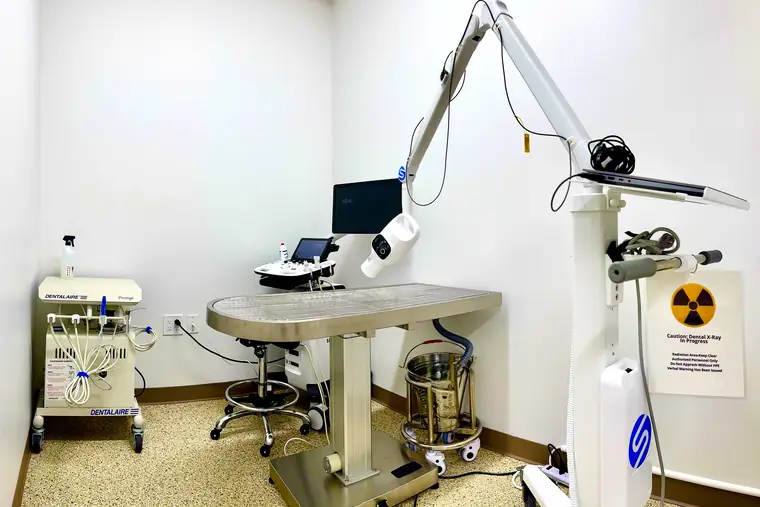Dental suite at Animal Republic Veterinary Hospital, with a Dentalaire dental unit and a dental X-ray warning sign