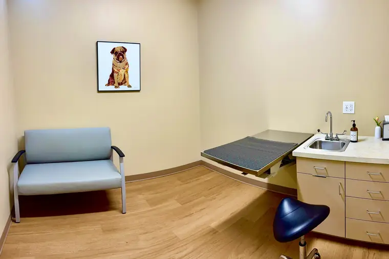 An exam room at Animal Republic Veterinary Hospital, with an exam table and chair