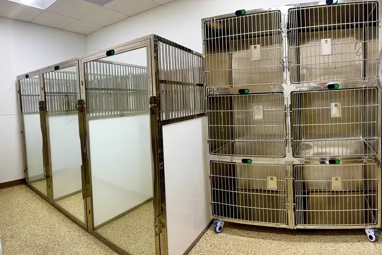 Kennel runs at Animal Republic Veterinary Hospital