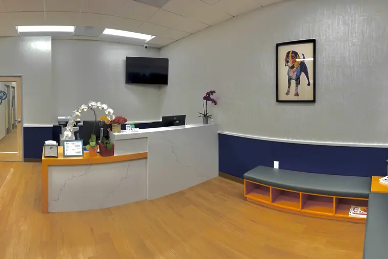 Reception and waiting area at Animal Republic Veterinary Hospital