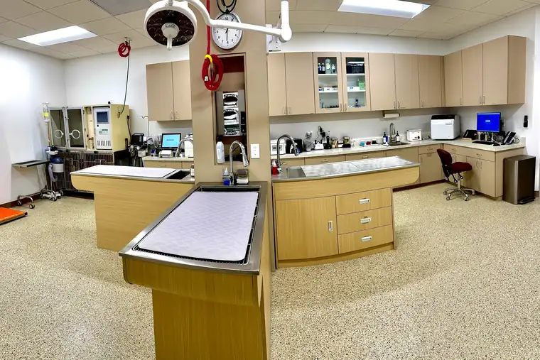Inside Animal Republic Veterinary Hospital